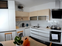 Modernizace bytu v panelovém domě - Orlová